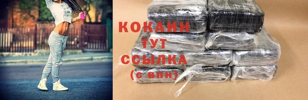 индика Алзамай