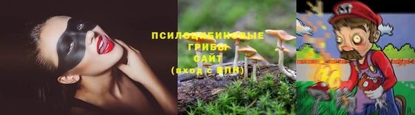 спайс Алексин