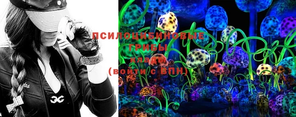 МДПВ Алексеевка