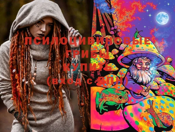 МДПВ Алексеевка