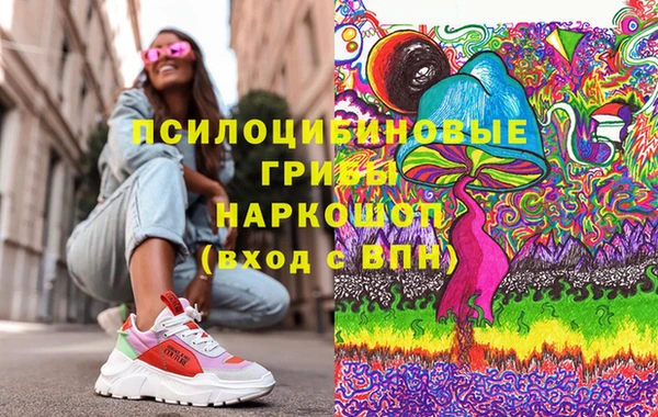 индика Алзамай