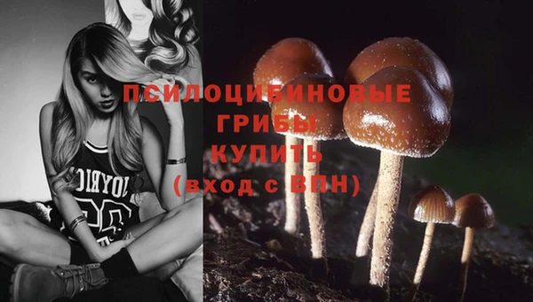 спайс Алексин