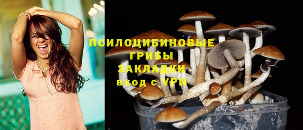 индика Алзамай