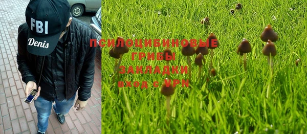 индика Алзамай
