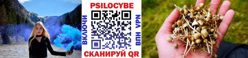 продажа наркотиков  Малаховка  Псилоцибиновые грибы Magic Shrooms 